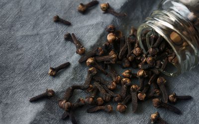 Le remède naturel de la semaine : les clous de girofle pour éloigner les moustiques