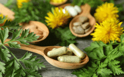 Phytothérapie : le pouvoir des plantes en médecine