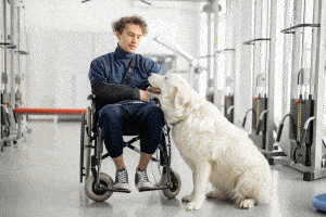 Homme en chaise roulante avec son chien d'assistance